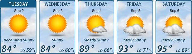 5-Day Forecast