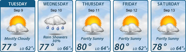 5-Day Forecast