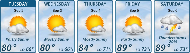 5-Day Forecast